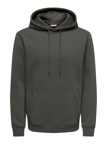 ONLY & SONS Kapuzenpullover in Beluga