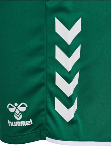 Hummel Sportshorts "Core 2.0 Shorts" in Grün