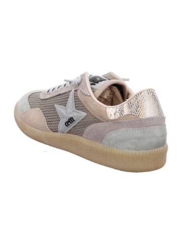 Cetti Sportliche Slipper in Grün