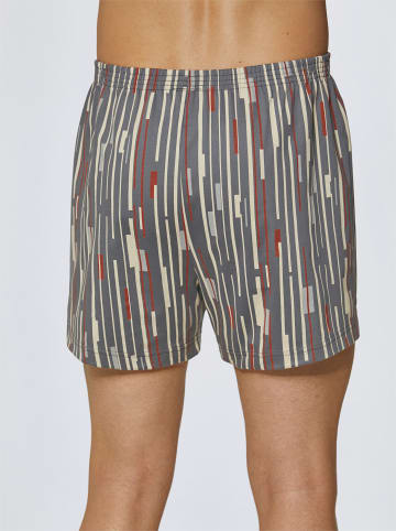 WITT WEIDEN Boxershorts in grau-bedruckt
