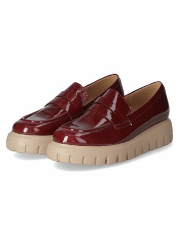 Gabor Slipper in lila