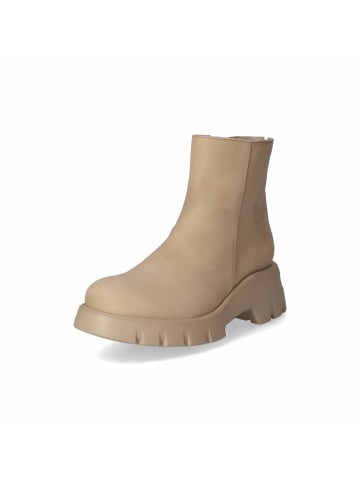 Paul Green Stiefeletten in Beige