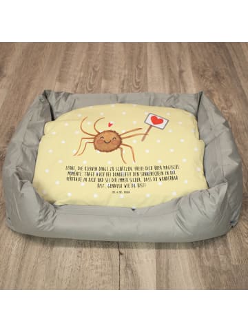 Mr. & Mrs. Panda Katzenkorb Spinne Agathe Motivation mit Spruch in Gelb Pastell