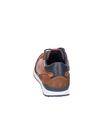 LLOYD Sneaker in braun