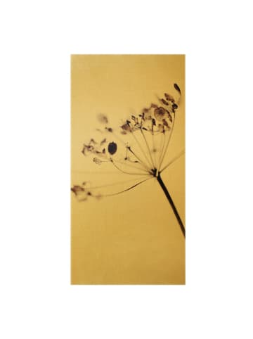 WALLART Leinwandbild Gold - Makroaufnahme Trockenblume im Schatten in Creme-Beige