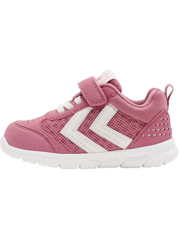 Hummel Hummel Schnürsenkel Sneaker Crosslite Infant Mädchen in HEATHER ROSE