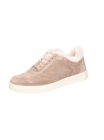 Sioux Schnürschuhe in beige