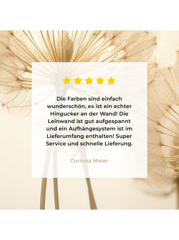 MuchoWow Leinwand bilder Flaum (BxH)