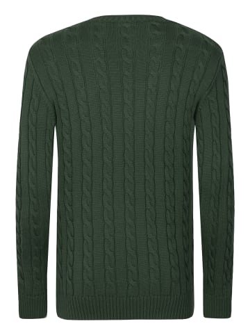 Felix Hardy Zopfmuster Pullover in Grün