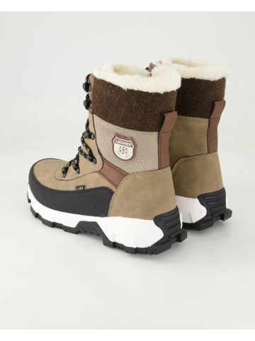 Lackner Schuhe Schnürstiefel in Braun