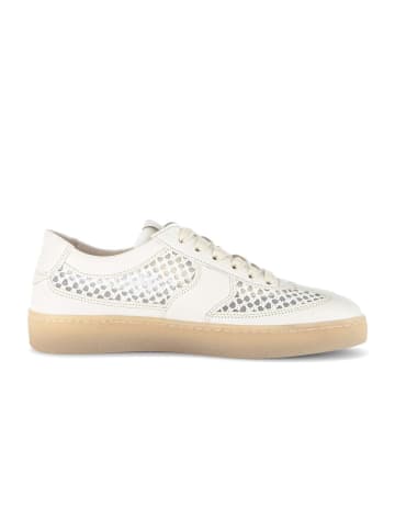 Gabor Sneaker low in gelb