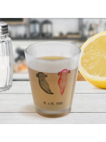Mr. & Mrs. Panda Schnapsglas Axolotl Liebe ohne Spruch in Transparent