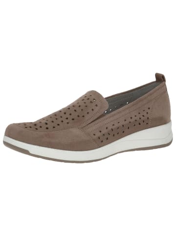 Caprice Sneaker in TAUPE SUEDE