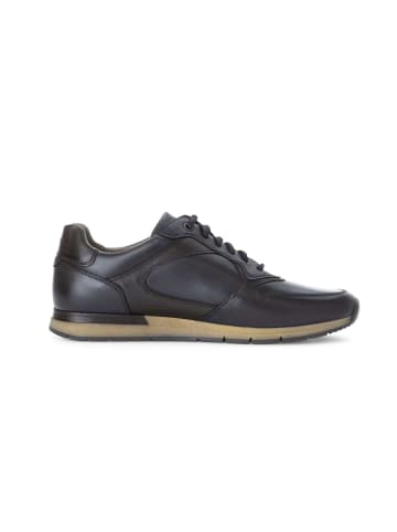 Pius Gabor Sneaker low in blau