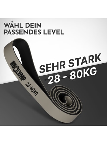 Neolymp Widerstandsband "HRB430" Stufe 5 in Grau, 28-80 kg