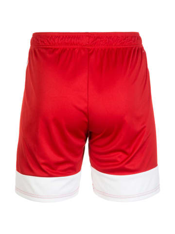 adidas Performance Funktionsshorts Tastigo 19 in rot / weiß