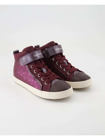 Geox Sneaker in Bordeaux