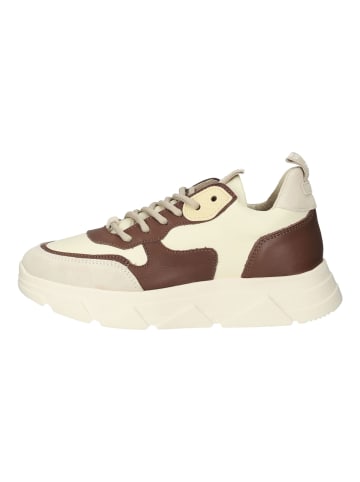 Steve Madden Sneaker in Beige/Braun
