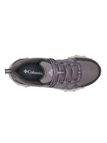 Columbia in Purple