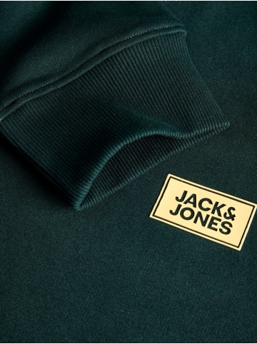 JACK & JONES PLUS Sweatshirt in Scarab
