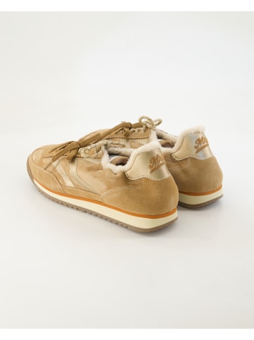 MRP STAR Sneaker low in Braun