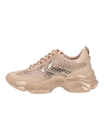 Steve Madden Sneaker Beige/Rosa