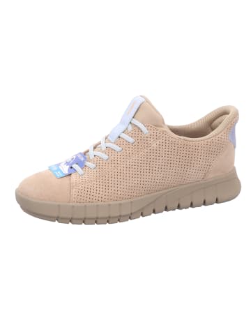 Geox Schnürschuh in beige