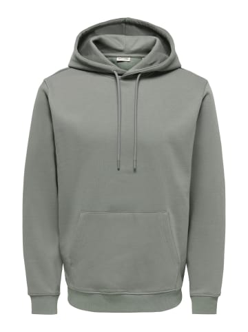 ONLY & SONS Kapuzenpullover in Castor Gray
