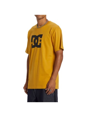 DC Shoes Tshirt in bunt