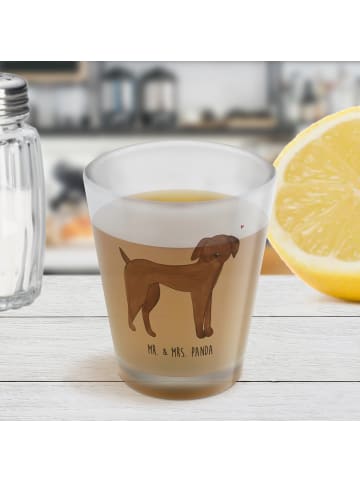 Mr. & Mrs. Panda Stamperl Hund Dogge ohne Spruch in Transparent