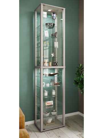 VCM  Holz Glas Stand Vitrine Kavisa XXL in Silber