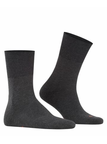 Falke Socken 2er Pack in Dunkelgrau