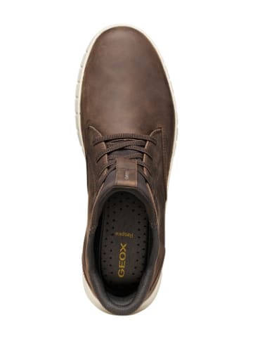 Geox Stiefeletten U in bunt