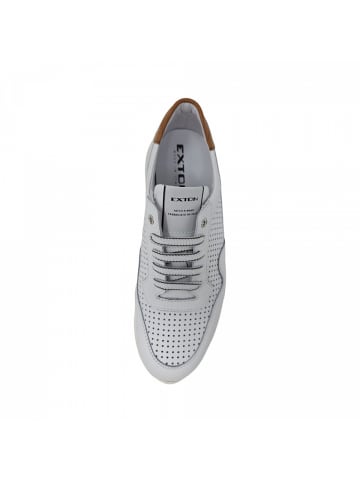 Exton Sneaker  in Weiß
