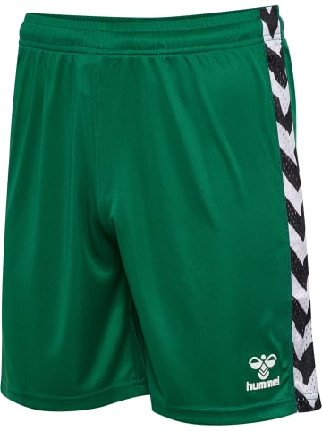 Hummel Kurze Hose Playful Shorts Erwachsene in EVERGREEN