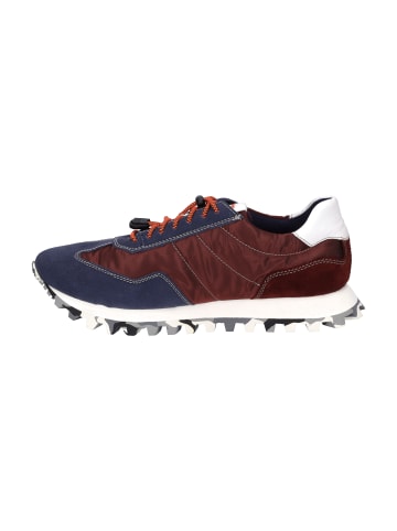 Josef Seibel Sneaker Clyde 01 in blau-bordeaux