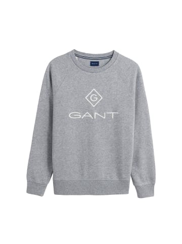Gant Sweatshirt in Grau