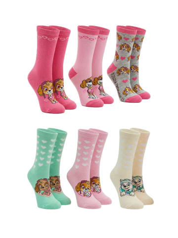 ONOMATO! 6er-Set: Socken Paw Patrol Skye, Zuma und Everest in Mehrfarbig