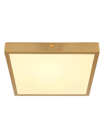 Globo lighting Deckenleuchte "TIBEY" in gold