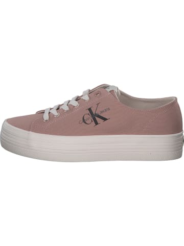 Calvin Klein Schnürschuhe in cafe creme