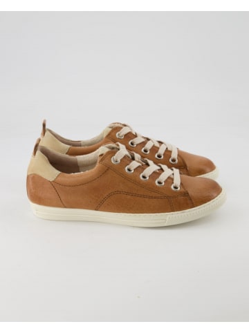 Paul Green Sneaker low in Braun