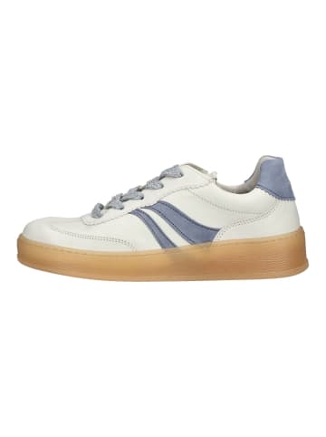 Gabor Sneaker in Weiß/Blau