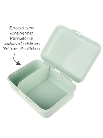 Sterntaler Brotdose / Lunchbox - Giraffe Kaya in gruen,gelb