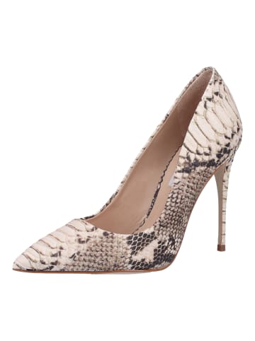 Steve Madden Pumps in Beige