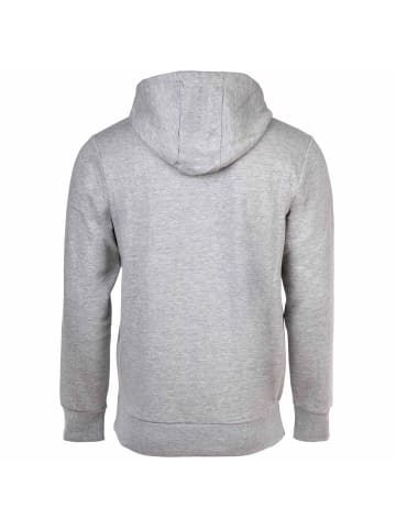 ellesse Sweatshirt in Grau