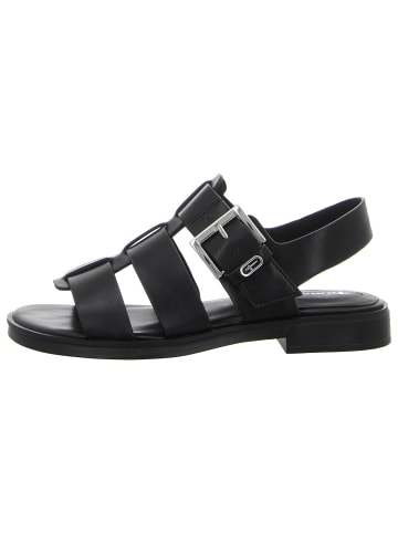 Tamaris Sandalen in schwarz