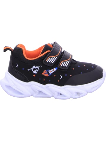 D.T. NEW YORK Klettschuhe in schwarz