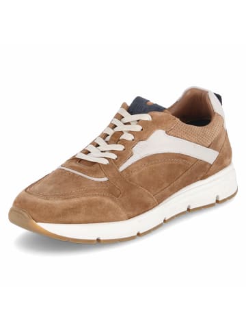 Bullboxer Low Sneaker in braun