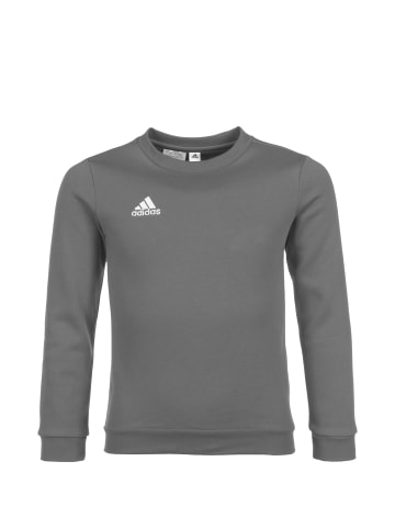 adidas Performance Trainingspullover Entrada 22 in grau