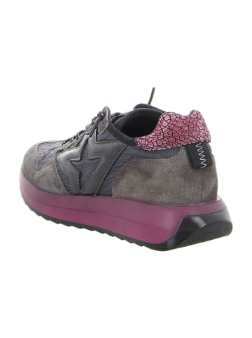 Cetti Sportliche Schnürschuhe in Grau